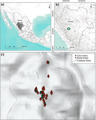 Increasing the risk of severe wildfires in San Dimas, Durango, Mexico caused by fire suppression in the last 60 years